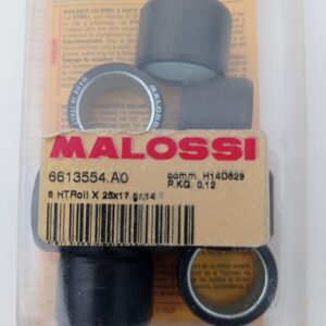 8 RULLI MALOSSI PER VARIATORE ORIGINALE 25x17 14 g PIAGGIO BEVERLY 400 ie