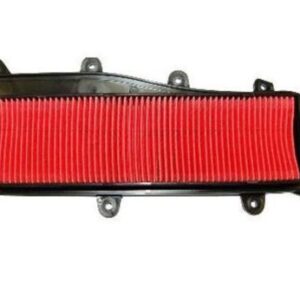 Filtro Aria  Kymco People Gti 125cc DAL  2010-2016/ 200cc DAL 2010-2014/ 300cc DAL 2010-2016 CODICE :403652300